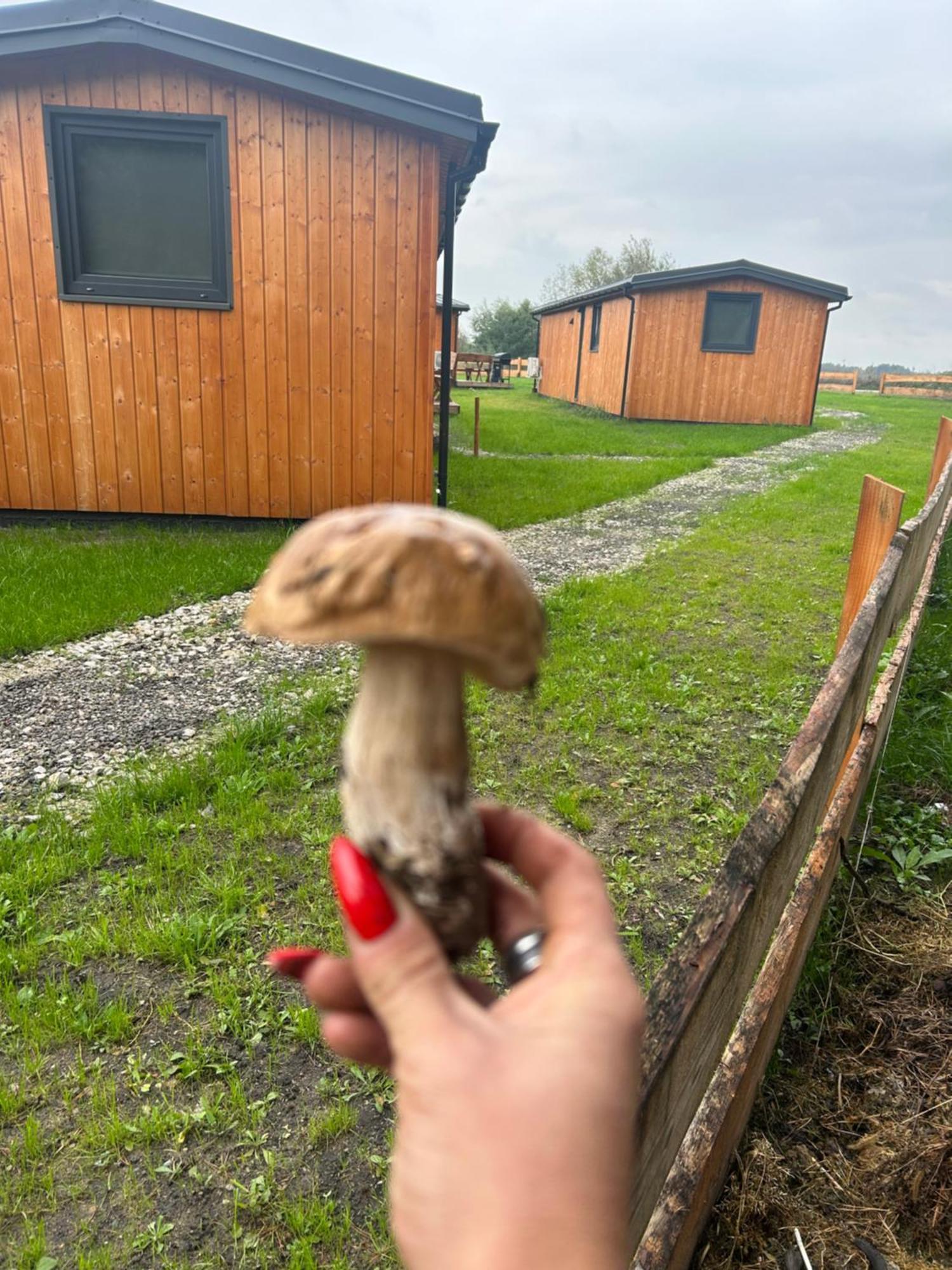 Hotel Zacisze Obok Suntago Park Grabce-Towarzystwo Exterior foto